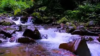 Mountain River Flowing Water for Quiet Nights and Deep, Undisturbed Sleep