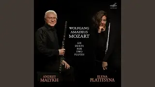 Duet No. 2: III. Allegretto scherzo