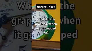 Nature jokes #shorts #funny #nature