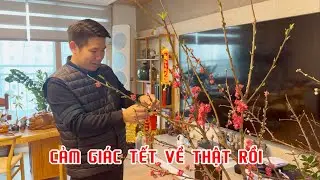 Sáng thấy hoa đào nở rực trong nhà, mải ngắm suýt quên giờ đưa bé Bông đi học | Thi Hàn Quốc 