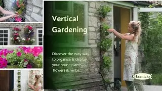 Indoor Outdoor Vertical Garden in less than an hour - discover Wall Pot Holders today!