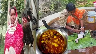 ঘরের দেশি মুরগি কেটে গ্রাম্য স্টাইলে লাল ঝোল রান্না করলাম 🍲Sundarban Ghorkonna 