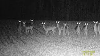 Dsoon Nv5000 night vision Binoculars. First attempt
