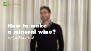 How to make a mineral wine? - Jordi Ballester
