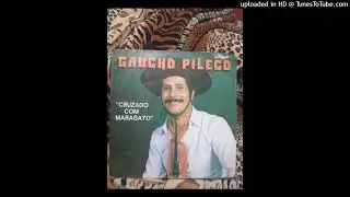 gaucho pileco nao sou boemio valsa letra de gaucho pileco (online-audio-converter.com)
