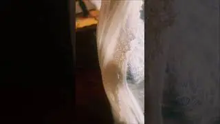 Coffee dyed bridal veil: the most epic vintage-y cascade wedding veil ￼(aka waterfall veil)