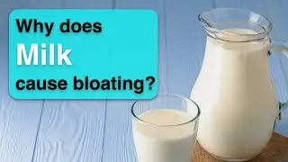 Lactose Intolerance: know the facts!