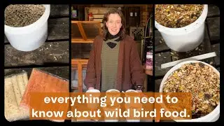 The ULTIMATE Wild Bird Food Guide
