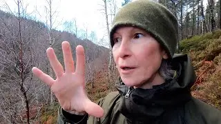 Recovering from complex trauma. Presence means releasing ourselves from our story. ( Substack clip )