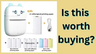Meow Mini Label Printer, Thermal Portable Printers from Aliexpress. Is it worth Buying.