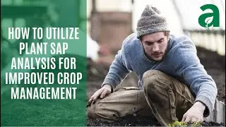 How to Utilize Plant SAP Analysis for Improved Crop Management