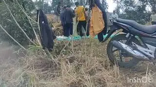 North East India Jhum cultivation and Threshing with Thresher machine... 