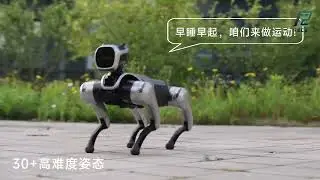 R2C2 x MagicDog &ndash; Your New Smart Robotic Companion