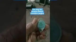 transistor jengkol