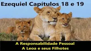 Ezequiel 18 e 19 A responsabilidade pessoal, A Leoa e seus Filhotes