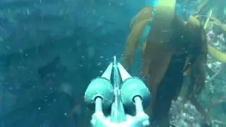 CHASSE SOUS MARINE AUX GLENAN