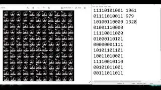 Wild Bombinos Crypto Puzzle Solution