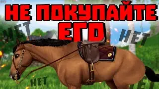 НЕ ПОКУПАЙТЕ БЕЛЬГЕЙСКУЮ ТЕПЛОКРОВНУЮ | Star Stable