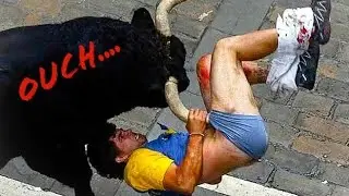 funny bull fight compilation you not try to laugh 😂