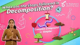 II PUC:Decomposition|Dr.Rajkumar's Learning App|Reach Further|Biology