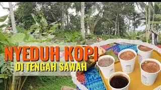 Hidden Gem di Tabanan! Nyeduh Kopi: Tempat Ngopi Paling Adem #nyeduhkopi #warungkopi #bali
