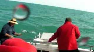 Mad Keen Fishing Charters