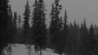 Destroy Lonely - CRYSTLCSTLES ( Slowed + Reverb )
