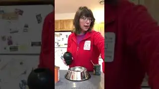 How to Stuff a Kong (using feeder toys to support dog training goals)