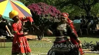 Rajasthani dance and walking on embers at tourist magnet Pushkar Mela: archival footage