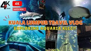WAJIB BAWA ANAK KESINI❗❗ TEMUKAN DAN RASAKAN KEAJAIBAN LAUT DI AQUARIA KLCC, KUALA LUMPUR, MALAYSIA