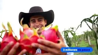¡Valle de Santiago es un municipio de Grandeza!