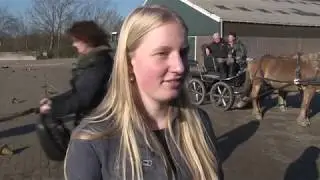 Helikoptervluchten boven Castricum en Limmen