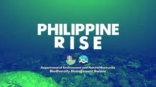 PHILIPPINE RISE INTERSTITIALS 1