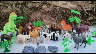 💦🐼 Mud Cleanup Time! Wild Animals Washed Clean & Placed in the Park  Kids Fun