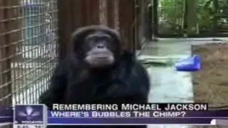 Does Bubbles the Chimp Miss Michael?