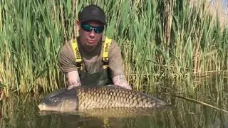 17,5kg Common carp, From Big wild czech lake