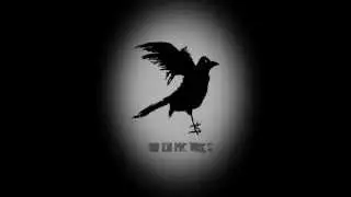 Raven pictures
