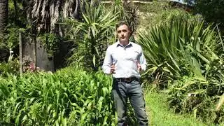 Cómo estudiar Fisiología Vegetal