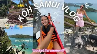 TWO TOURS IN KOH SAMUI⛵️🌊*going to pig island!!*