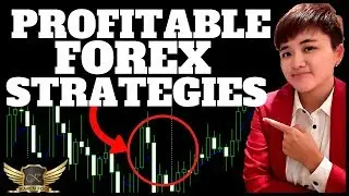 5 BEST Forex Trading Strategies for Beginners