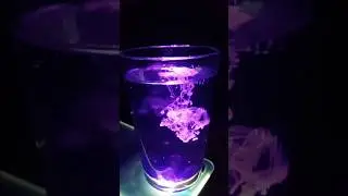 💜wate💜rmagic💜