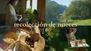Una argentina en los Pirineos: mate y recolección de nueces 🍂🧉 vida simple y cozy