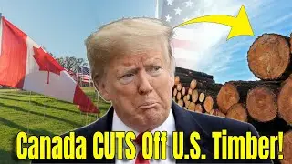 Trump in Disbelief as 34% Lumber Tariffs Backfire&mdash;Canada Cuts $13B Trade, US Housing Costs Skyrocket