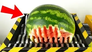 Ultimate Shredding Compilation !   1 hour of shredding    fruits , batteries  and toys 720p