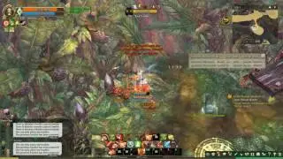 TOS Fencer Cross Guard + Spear Lunge + Prep