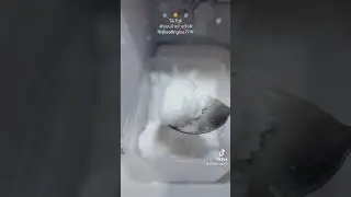 #คลิปasmr#กินน้ำแข็ง#ice#eattingice#freezer#icepowder #❄️🧊❄️🧊#🥶#thailand🇹🇭