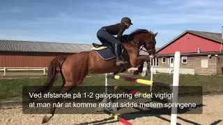 Springning