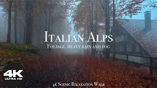 Heavy rain and fog in an Italian alpine location among the woods. Sound of rain, relaxing atmosphere