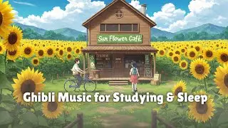 Summer Wind in the Sunflower Fields 🌻 Ghibli Music for Studying & Sleep