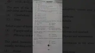 CBSE Class 10 Science | 31/ 3/ 2| Answer key | Section A | 2025 Boards#cbse2025